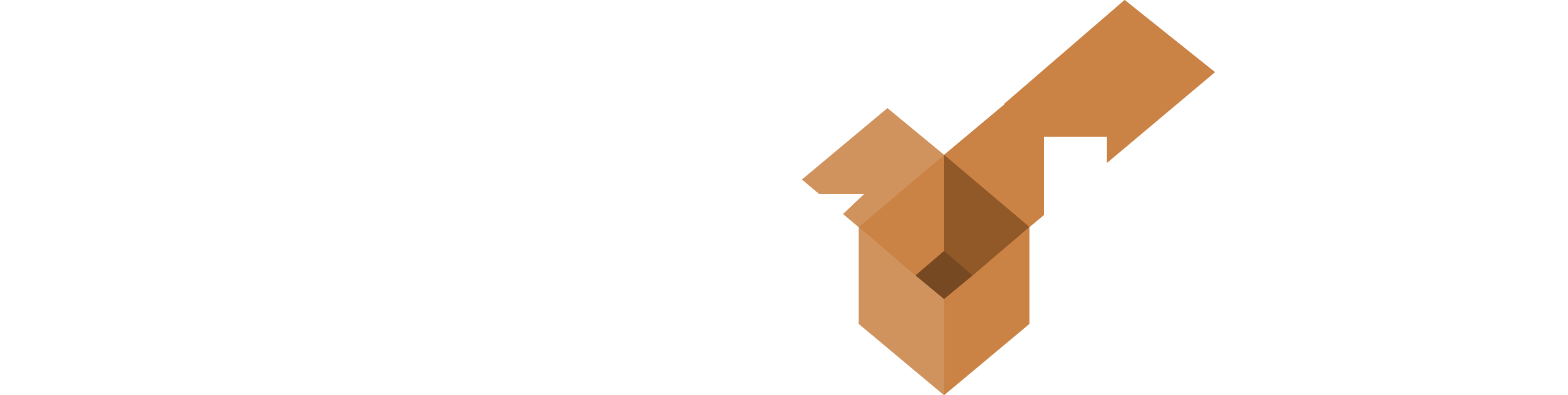 CheckBox Systems, LLC